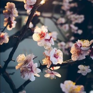 Meet your Posher, Luisa